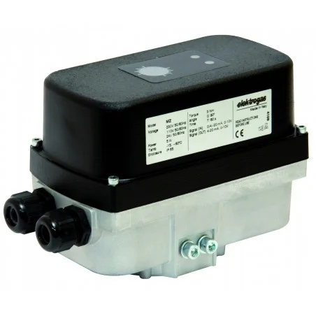 Moteur type MZ3