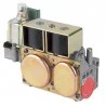 Bloc vanne gaz ELETROSIT 836010