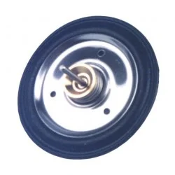Membrane M15LP, M15L Cointra