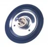 Membrane M15LP, M15L Cointra