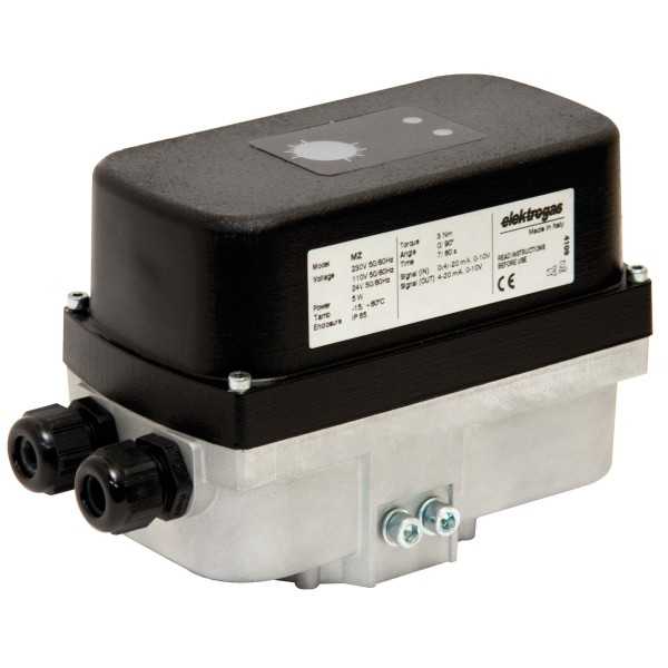 Moteur type MZ5