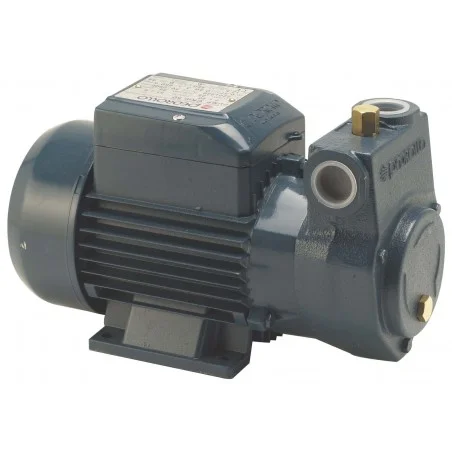Pompe de transfert fioul PKM 60