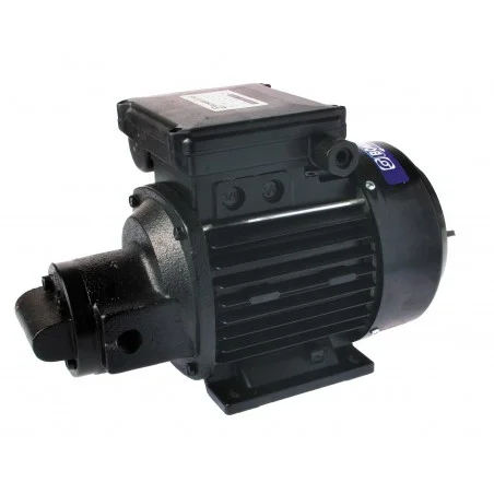 Pompe de transfert fioul MR10