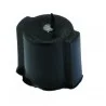 Accouplement moteur type N