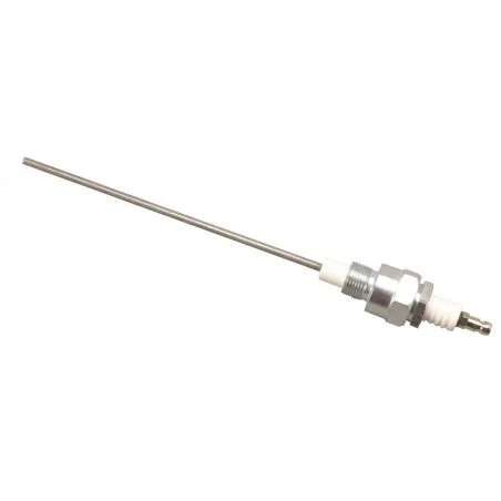 Electrode 4 en 450 BSP G1/2 LG 450 mm