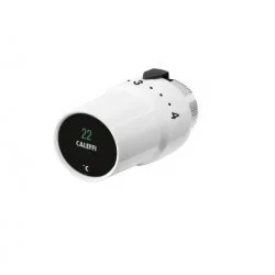 Tête thermostatique avec indicateur de température